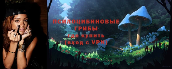 прущие грибы Белоозёрский