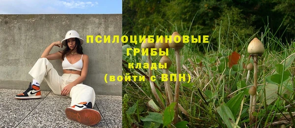 прущие грибы Белоозёрский