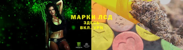 дживик Богданович