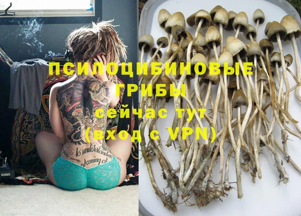 не бодяженный Белокуриха